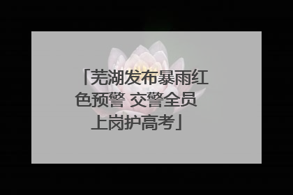 芜湖发布暴雨红色预警 交警全员上岗护高考