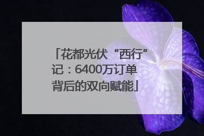 花都光伏“西行”记：6400万订单背后的双向赋能