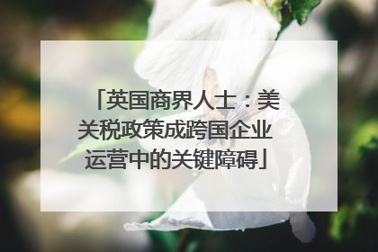 英国商界人士：美关税政策成跨国企业运营中的关键障碍