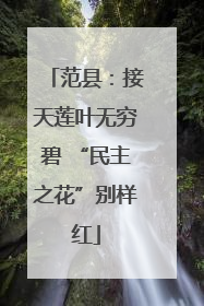 范县：接天莲叶无穷碧 “民主之花”别样红