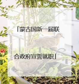 蒙古国新一届联合政府宣誓就职