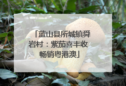 蓝山县所城镇舜岩村：紫茄喜丰收 畅销粤港澳