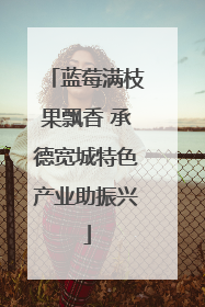 蓝莓满枝果飘香 承德宽城特色产业助振兴