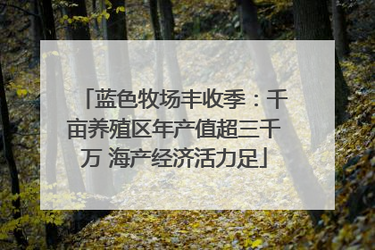 蓝色牧场丰收季：千亩养殖区年产值超三千万 海产经济活力足