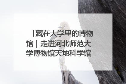 藏在大学里的博物馆｜走进河北师范大学博物馆天地科学馆：在校园里赴一场“宇宙之约”