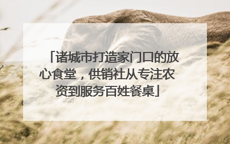 诸城市打造家门口的放心食堂，供销社从专注农资到服务百姓餐桌