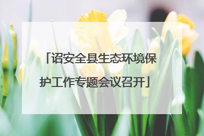 诏安全县生态环境保护工作专题会议召开