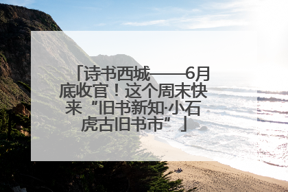 诗书西城——6月底收官！这个周末快来“旧书新知·小石虎古旧书市”