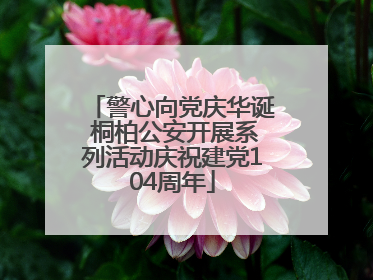 警心向党庆华诞 桐柏公安开展系列活动庆祝建党104周年