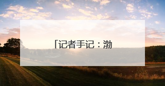 记者手记：渤海湾畔盐碱滩变身“新粮仓”