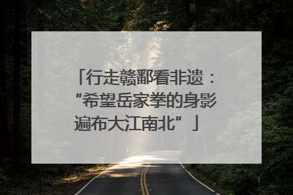 行走赣鄱看非遗：“希望岳家拳的身影遍布大江南北”