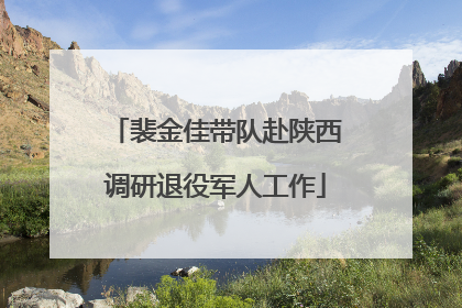 裴金佳带队赴陕西调研退役军人工作