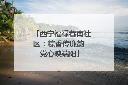 西宁福禄巷南社区：粽香传廉韵 党心映端阳