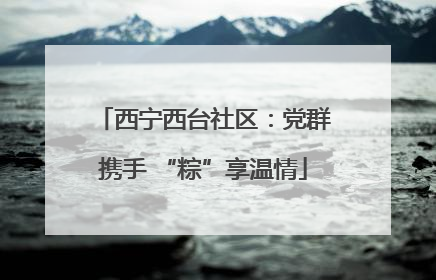 西宁西台社区：党群携手 “粽”享温情