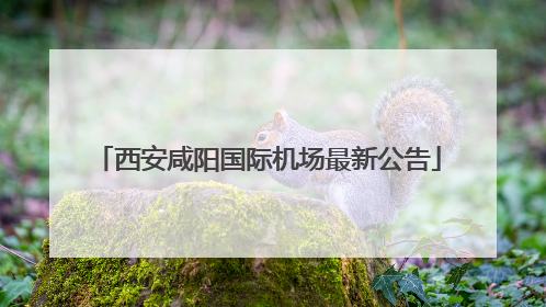西安咸阳国际机场最新公告