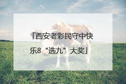西安老彩民守中快乐8“选九”大奖