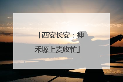 西安长安：神禾塬上麦收忙