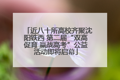 近八十所高校齐聚沈阳铁西 第二届“双高促育 赢战高考”公益活动即将启幕