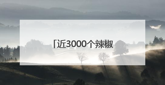 近3000个辣椒、番茄、玉米等蔬果新品种亮相，成都种业博览会在蓉开幕