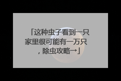 这种虫子看到一只家里很可能有一万只，除虫攻略→