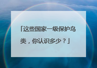 这些国家一级保护鸟类，你认识多少？
