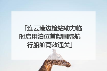 连云港边检站助力临时启用泊位首艘国际航行船舶高效通关