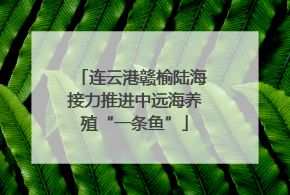 连云港赣榆陆海接力推进中远海养殖“一条鱼”