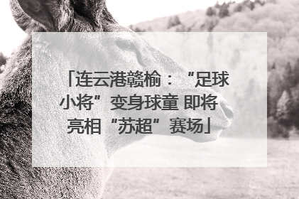 连云港赣榆：“足球小将”变身球童 即将亮相“苏超”赛场