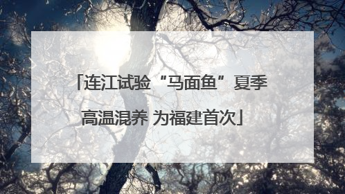 连江试验“马面鱼”夏季高温混养 为福建首次