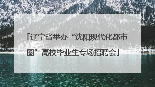 辽宁省举办“沈阳现代化都市圈”高校毕业生专场招聘会
