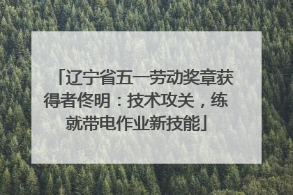 辽宁省五一劳动奖章获得者佟明：技术攻关，练就带电作业新技能