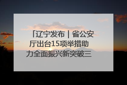 辽宁发布｜省公安厅出台15项举措助力全面振兴新突破三年行动决胜之战