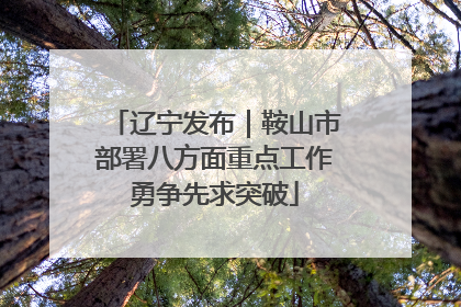 辽宁发布｜鞍山市部署八方面重点工作勇争先求突破