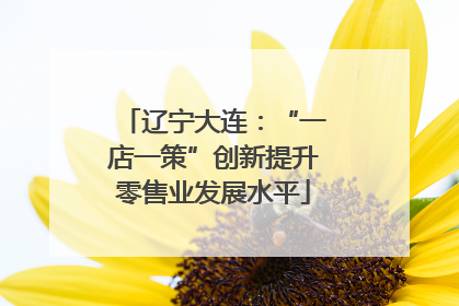 辽宁大连：“一店一策”创新提升零售业发展水平