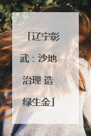 辽宁彰武：沙地治理 造绿生金