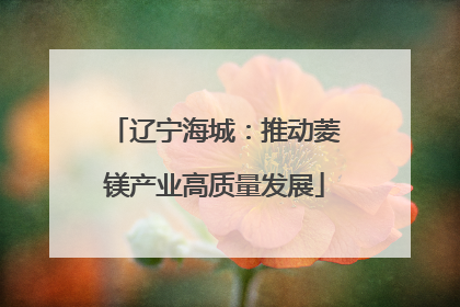 辽宁海城：推动菱镁产业高质量发展