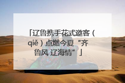 辽鲁携手花式邀客（qiě）点燃今夏“齐鲁风 辽海情”