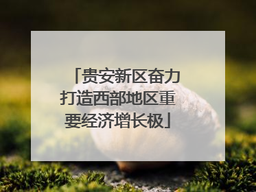 贵安新区奋力打造西部地区重要经济增长极