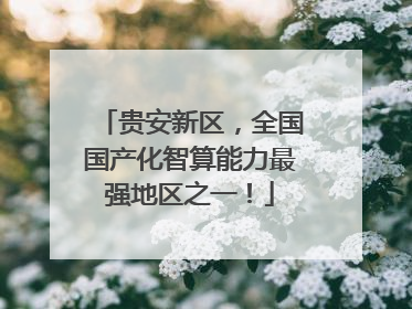 贵安新区，全国国产化智算能力最强地区之一！