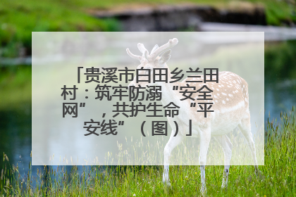贵溪市白田乡兰田村：筑牢防溺“安全网”，共护生命“平安线”（图）