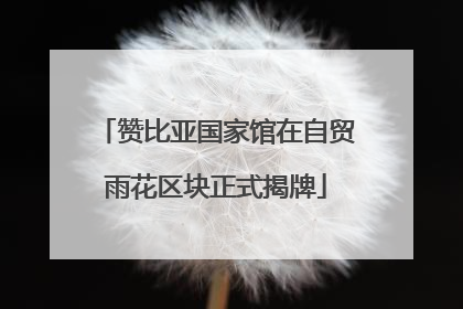 赞比亚国家馆在自贸雨花区块正式揭牌