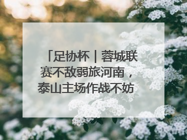 足协杯｜蓉城联赛不敌弱旅河南，泰山主场作战不妨“抄作业”