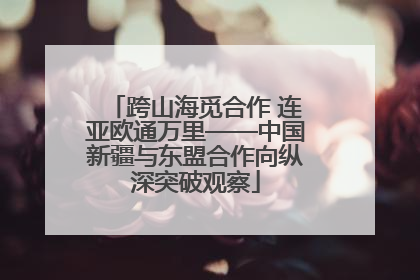 跨山海觅合作 连亚欧通万里——中国新疆与东盟合作向纵深突破观察
