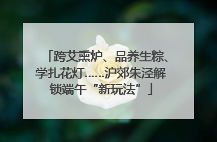 跨艾熏炉、品养生粽、学扎花灯……沪郊朱泾解锁端午“新玩法”