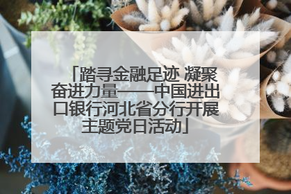 踏寻金融足迹 凝聚奋进力量——中国进出口银行河北省分行开展主题党日活动