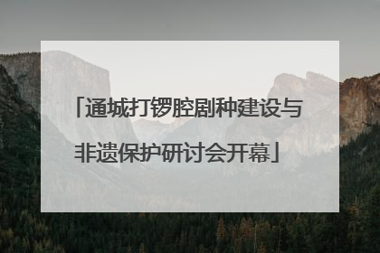 通城打锣腔剧种建设与非遗保护研讨会开幕