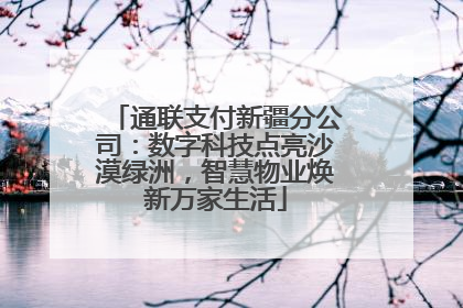 通联支付新疆分公司：数字科技点亮沙漠绿洲，智慧物业焕新万家生活