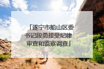 遂宁市船山区委书记段勇接受纪律审查和监察调查