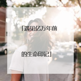 遇见亿万年前的生命印记