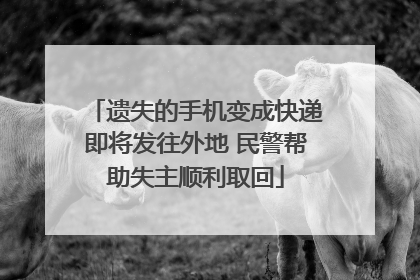 遗失的手机变成快递即将发往外地 民警帮助失主顺利取回